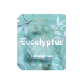 AdemVrij® Aroma Cores – Eucalyptus| 3 stuks